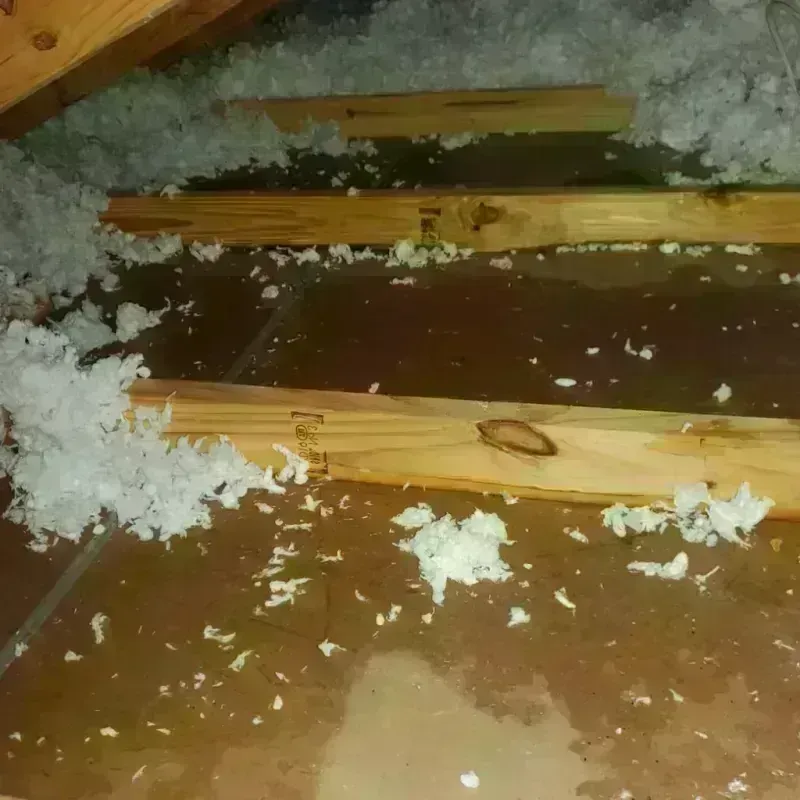 Attic Water Damage in Hudson Bend, TX